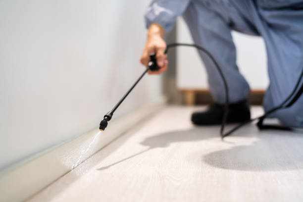 Licensed Mosquito Control service in Orange, CA - Show Me Pest Control