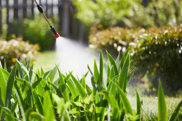 24/7 Emergency Mosquito Control experts in Orange, CA