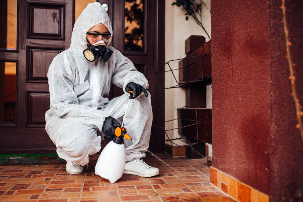 Reliable Mosquito Control contractor in Orange, CA by Show Me Pest Control