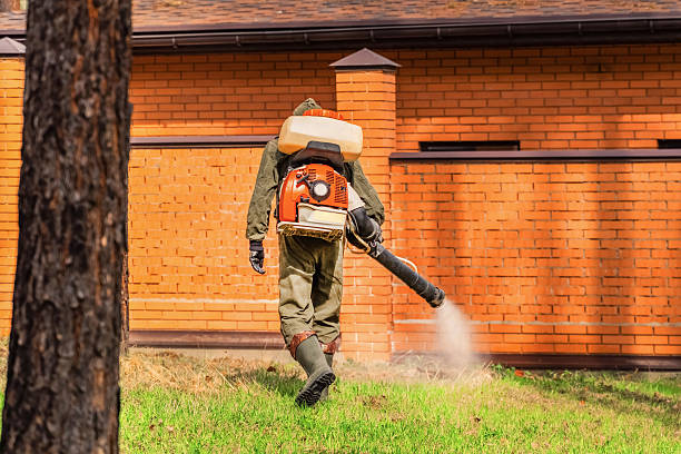 Top rated local Mosquito Control specialists in Orange, CA
